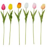 Tulpe 50790025 XXXLutz 1 Stück