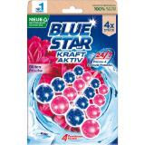 Blue Star Kraft Aktiv WC-Stein div. Sorten dm 4 Stück