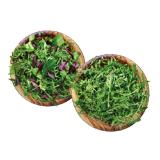 Promotion Bild von Bio Salate Mix-, Vogerl- oder Rucola Salat Lidl 100 Gramm