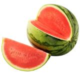 Promotion Bild von Echt Bio Mini-Wassermelone  Penny 1 Stück