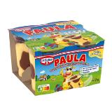 Dr. Oetker Paula Pudding div. Sorten BILLA 500 Gramm 1 Packung