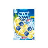 Blue Star Duo WC-Steine versch. Sorten MPREIS 1 Packung