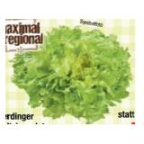 Eferdinger Endiviensalat Maximarkt 1 Stück