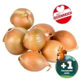 Echt Bio Zwiebeln Gelb Penny 1 Kilogramm 1 Netz
