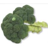 Promotion Bild von natürlich für uns Bio Broccoli Unimarkt 500 Gramm 1 Stück