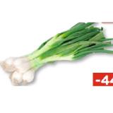 Bild von Jungzwiebel weiß Unimarkt 1 Bund