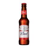 American Bud BILLA PLUS 0.33 Liter 1 Flasche