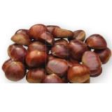 Edelkastanien Maximarkt 1 Kilogramm