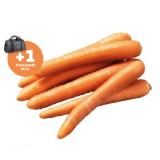 Echt Bio! Zuckerkarotten Penny 1 Kilogramm 1 Packung