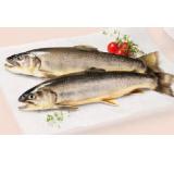 Fischzucht Jobst Bachsaibling INTERSPAR 100 Gramm