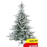 Promotion Bild von KAEMINGK Christbaum „Killington“ Tanne 43198927 BayWa 1 Stück