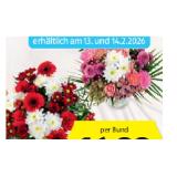 Valentinsstrauss I Love You HOFER 1 Bund