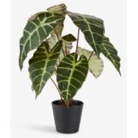 Kunstpflanze HAVHEST H125cm olivgrn 6400038 JYSK 1 Stck