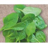Promotion Bild von Bio Baby Spinat Lidl 125 Gramm 1 Packung