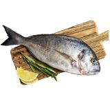 Promotion Bild von Cromaris Frische Dorade 4er Pack Lidl 1 Kilogramm