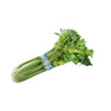 Spar Natur pur Bio-Stangensellerie SPAR 1 Stück