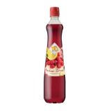 YO Sirup Verschiedene Sorten und jetzt NEU: Ingwer-Zitrone oder Rosenblüten INTERSPAR 0.70 Liter 1 Flasche
