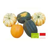 Ja! Natürlich Bio Speisekürbis Mix Sutterlüty 1 Kilogramm