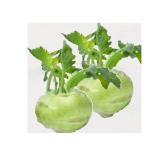 Bild von Insel Reichenau Kohlrabi Sutterlüty 1 Stück