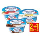 Landliebe Topfencreme versch. Sorten Maximarkt 160 Gramm 1 Becher