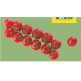 Cherrytomaten T&G 500 Gramm 1 Packung