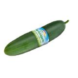 Spar Natur pur knackige Bio-Feldgurke EUROSPAR 1 Stück