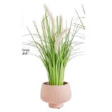 Promotion Bild von modern living Kunstpflanze „Pennisetum“ 4297525201 mömax 1 Stück