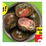 Tomaten Marmande Lidl 400 Gramm