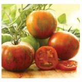 Zebratomate, Topf Ø10,5 cm Dehner 1 Stück