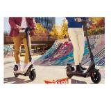 Bild von niu Elektroscooter KQi2 Pro Maximarkt 1 Stück
