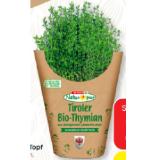 Spar Natur pur Bio-Thymian Topf SPAR Gourmet 1 Stück