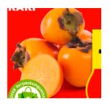 HOFER Marktplatz Kaki HOFER 1 Stück