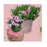 Bepflanze Arrangements und Premium-Ampeln Korb Herzform klein, Metalleimer Rosa HOFER 1 Stück