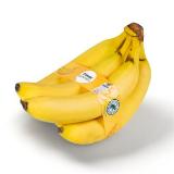 Bild von Clever Bananen BILLA PLUS 1 Kilogramm