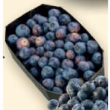 Bio-Heidelbeeren Denns BioMarkt 250 Gramm 1 Schale