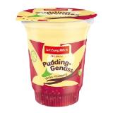 Salzburg Milch Genusspudding mit Frucht div. Sorten BILLA PLUS 170 Gramm 1 Becher