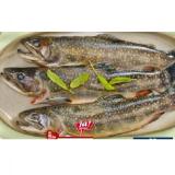 Ja! Natürlich Bio-Bachsaibling BILLA PLUS 100 Gramm