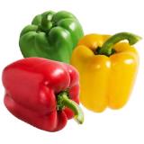 Paprika Mix Penny 500 Gramm 1 Packung