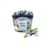 SanLucar Heidelbeeren-Bowl BILLA 150 Gramm 1 Becher