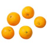 Orangen Lidl APP Preis 2 Kilogramm