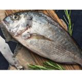 Bio Dorade HOFER 652 Gramm