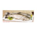 Fischzucht Jobst Regenbogenforelle INTERSPAR 100 Gramm
