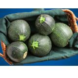 Promotion Bild von Zucchini rund Lidl APP Preis 1 Stück