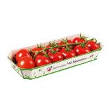 Da komm' ich her! aromatische Midi Rispenparadeiser BILLA PLUS 450 Gramm 1 Packung
