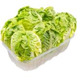 Mini Salatherzen grün od. rot, Preisangabe ohne MwSt. (Preis inkl. MwSt. 2,74 €), METRO 6 Stück