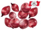 Zwiebeln rot aus Österreich Lidl 1 Kilogramm