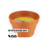 Promotion Bild von Citronella Wachstontopf Duftkerze BIPA 1 Stück