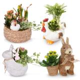 Bild von Bepflanztes Osterarrangement div. Sorten HOFER 1 Stück