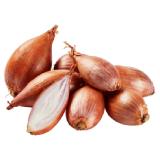 Bio Schalotten aus Österreich Lidl 500 Gramm