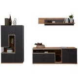 Dieter Knoll Wohnwand 1987002202 XXXLutz 1 Set